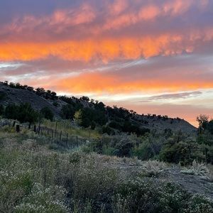 Meet your Posher, Lynda